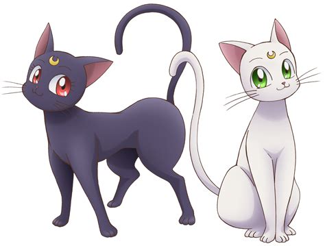 sailor moon black cat|sailor moon luna and artemis.